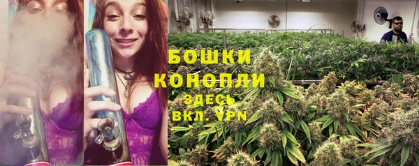 ECSTASY Дмитриев