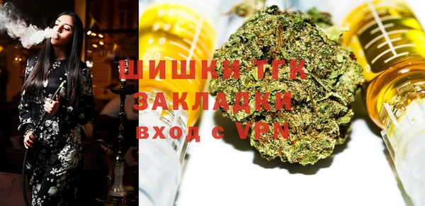 ECSTASY Дмитриев