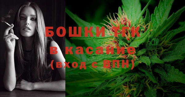 ECSTASY Дмитриев
