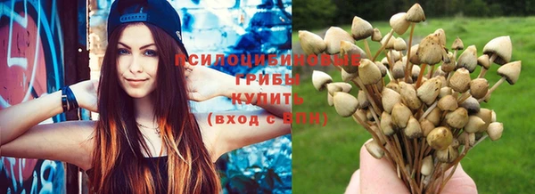 ECSTASY Дмитриев