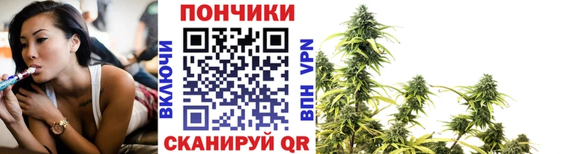 Шишки марихуана MAZAR  Купить где  Ивдель 